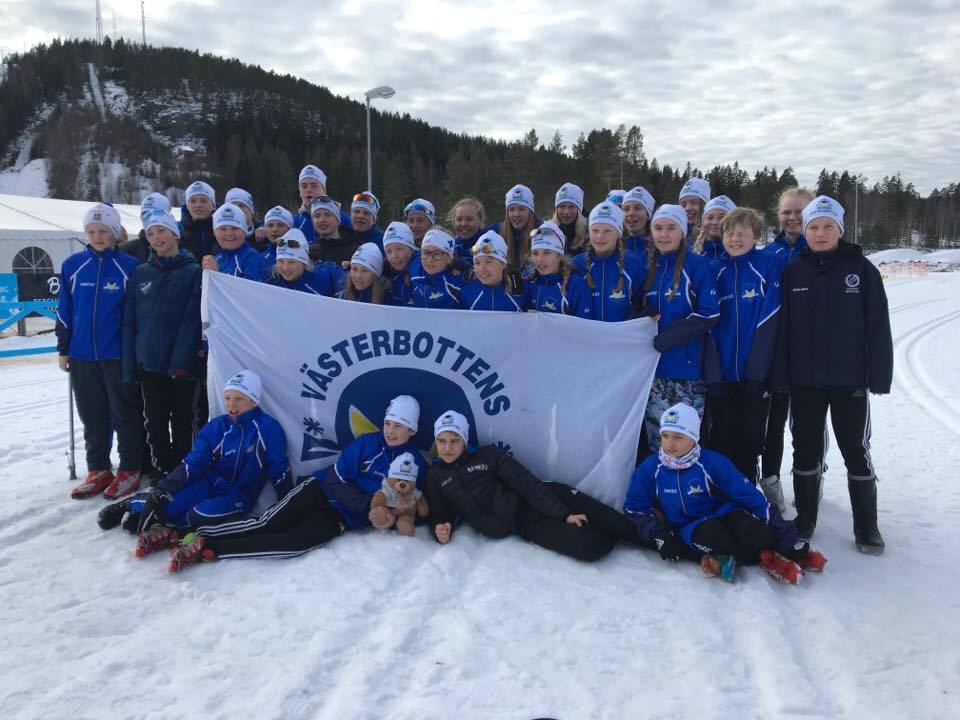 En bild