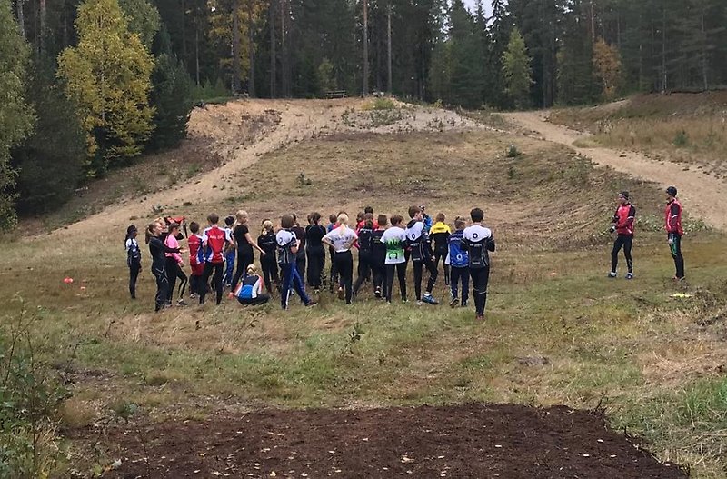 Rullskidor MSF
